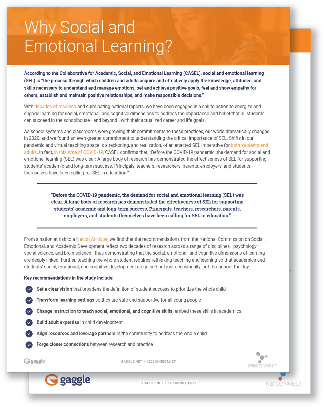 REPORT - 2020 Social Emotional Learning
